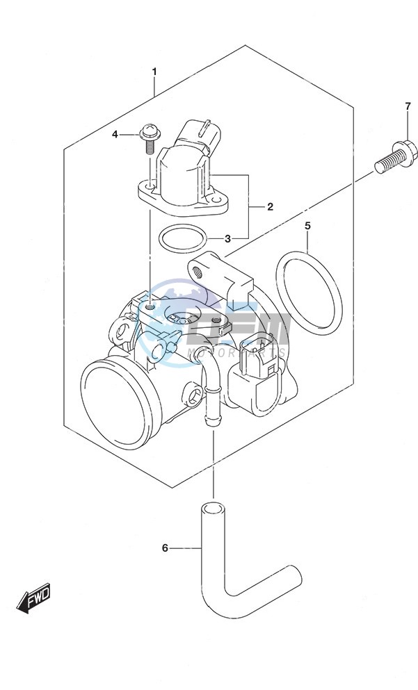 Throttle Body Remote Control