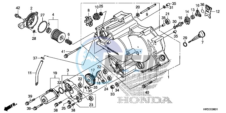 FRONT CRANKCASE COVER (TRX420FE1/FM1/FM2/TE1/TM1)