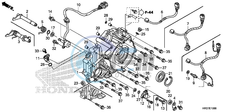 REAR CRANKCASE COVER