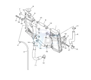 YZ LC 125 drawing RADIATOR AND HOSE