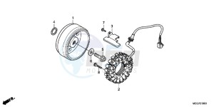 VT750C2BB Shadow E drawing GENERATOR