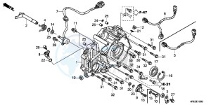 TRX500FMC ED drawing REAR CRANKCASE COVER