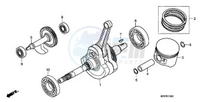 TRX500FPEB drawing CRANKSHAFT/ PI STON