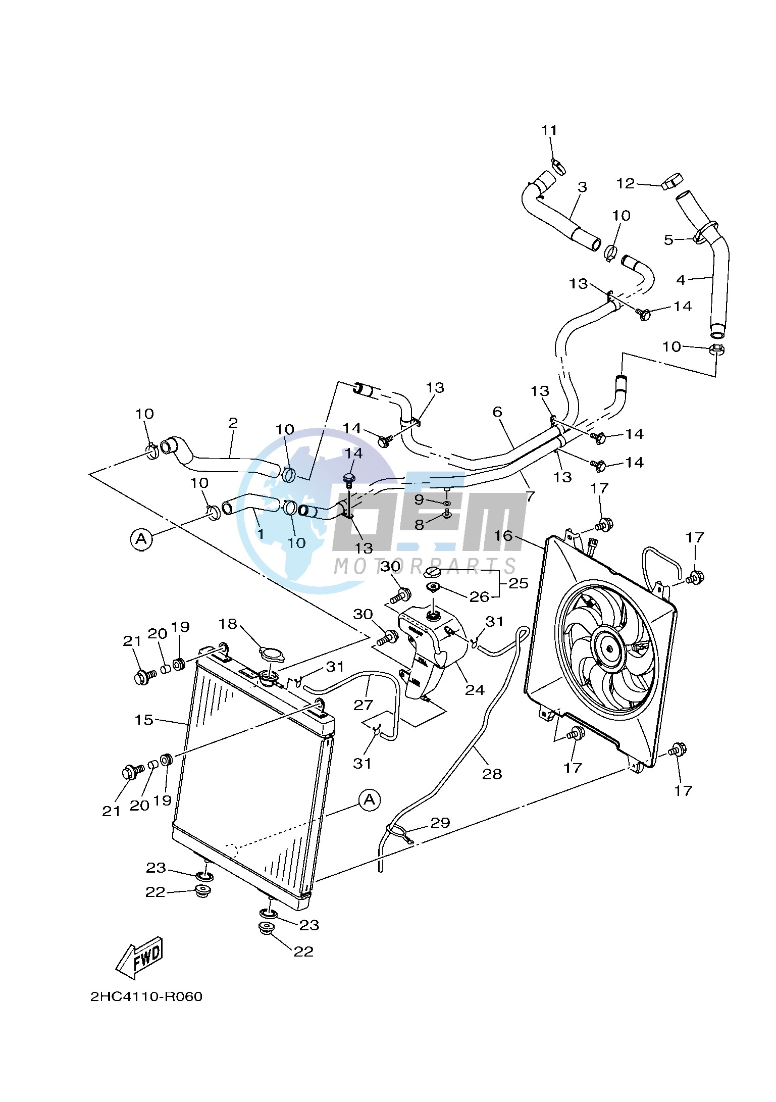 RADIATOR & HOSE