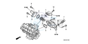 CB600F39 Spain - (SP / ST 25K) drawing THERMOSTAT