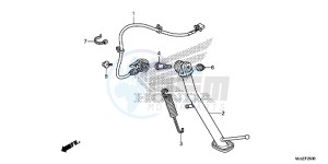 NC750SDE NC750SD Europe Direct - (ED) drawing STAND