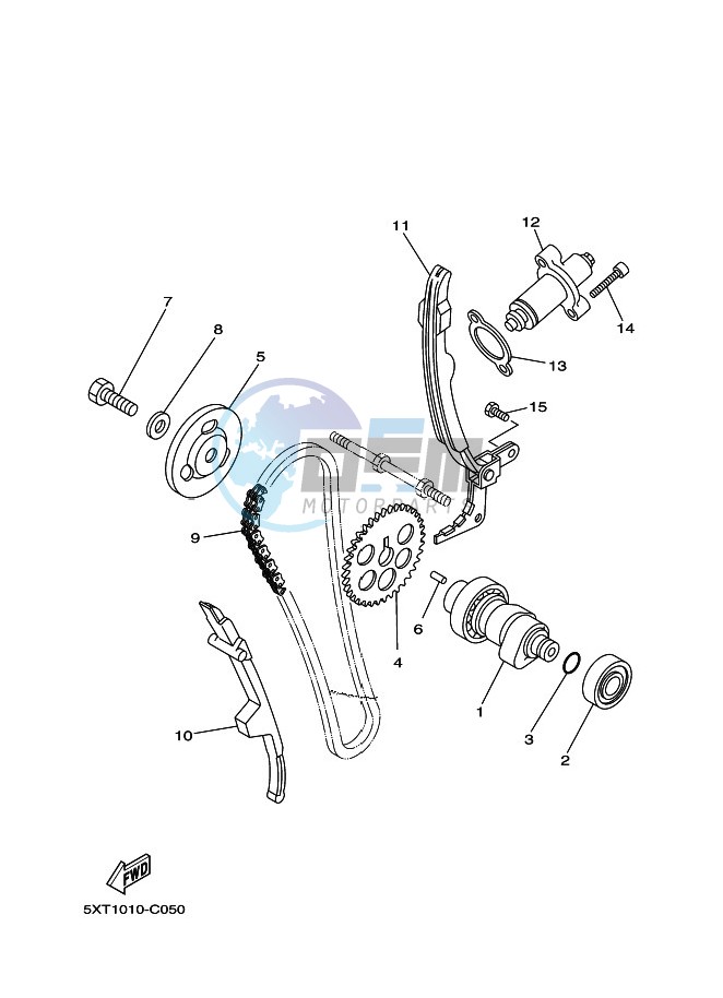 CAMSHAFT & CHAIN