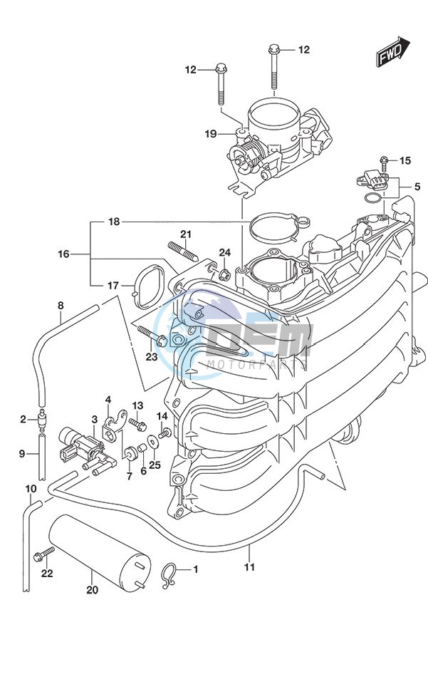 Intake Manifold/Throttle Body (Model: TG/ZG)