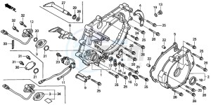 TRX350TM RANCHER drawing REAR CRANKCASE COVER