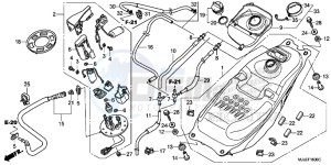 NC750SE NC750S Continue » Europe Direct - (ED) drawing FUEL TANK/ FUEL PUMP