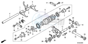 GL18009 Australia - (U / AB NAV) drawing GEARSHIFT DRUM/SHIFT FORK