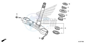 CBR600RAD CBR600RR ABS UK - (E) drawing STEERING STEM