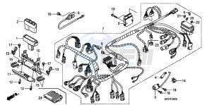 TRX500FPMB drawing WIRE HARNESS