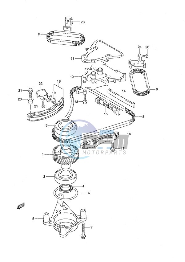 Timing Chain