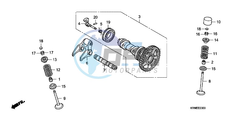 CAMSHAFT/VALVE