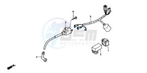 XR50R drawing WIRE HARNESS