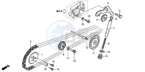 CRF50F drawing CAM CHAIN/TENSIONER