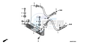 TRX250XD TRX250X Australia - (U) drawing OIL COOLER