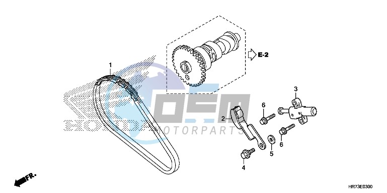 CAM CHAIN/TENSIONER