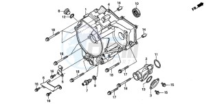 TRX250 TRX250 FOURTRAX drawing REAR CRANKCASE COVER