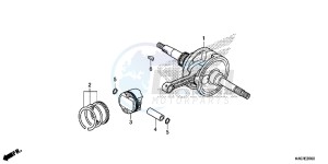 NSS125ADF Forza 125 - NSS125AD UK - (E) drawing CRANKSHAFT/ PI STON