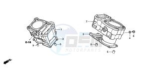 XL650V TRANSALP drawing CYLINDER