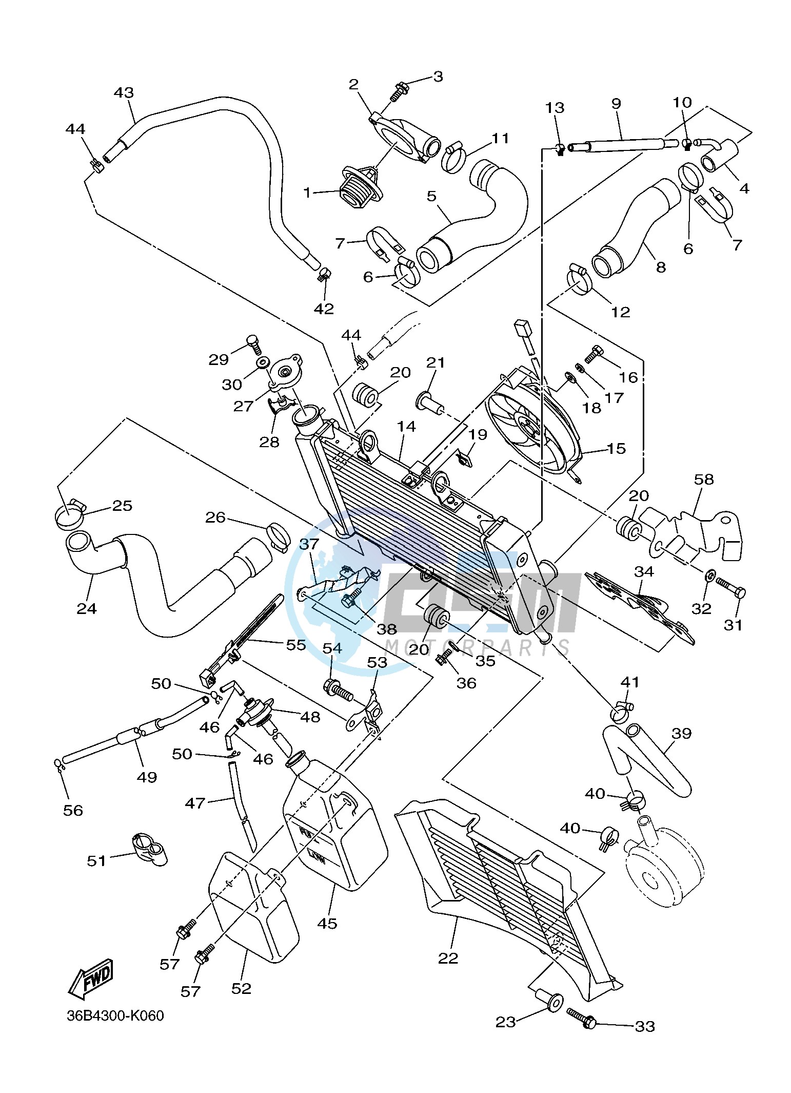 RADIATOR & HOSE