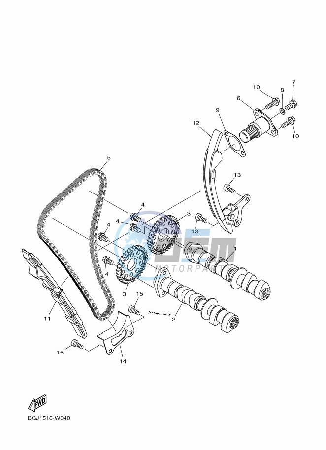 CAMSHAFT & CHAIN