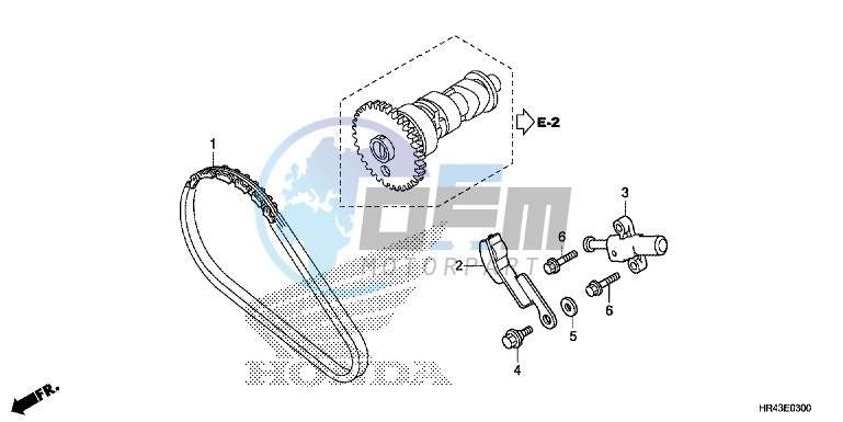 CAM CHAIN/ TENSIONER