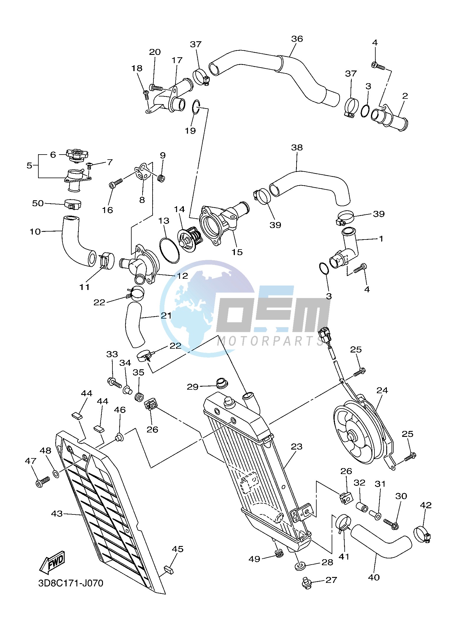 RADIATOR & HOSE