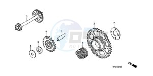 CB600FAA Europe Direct - (ED / ABS 25K) drawing STARTING DRIVEN GEAR