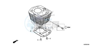 CRF125FE CRF125F Europe Direct - (ED) drawing CYLINDER