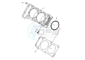 TRX 850 drawing CYLINDER