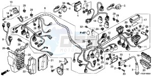 TRX500FPEC drawing WIRE HARNESS