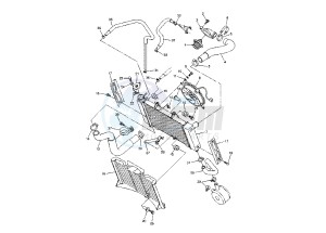 FZ6-SA FAZER 600 (ABS) drawing RADIATOR- HOSE