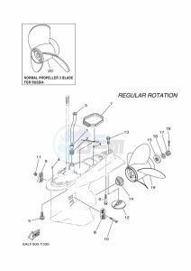 F200CETX drawing PROPELLER-HOUSING-AND-TRANSMISSION-2