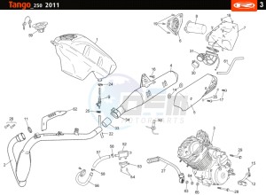 TANGO-250CC-4T-WHITE drawing TANK - EXHAUST