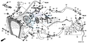 CBR1000RRG CBR1000 - Fireblade Europe Direct - (ED) drawing RADIATOR