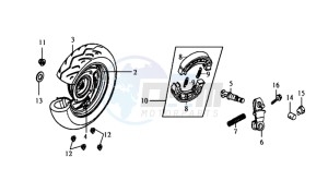 SHARK 50 E2 drawing REAR WHEEL