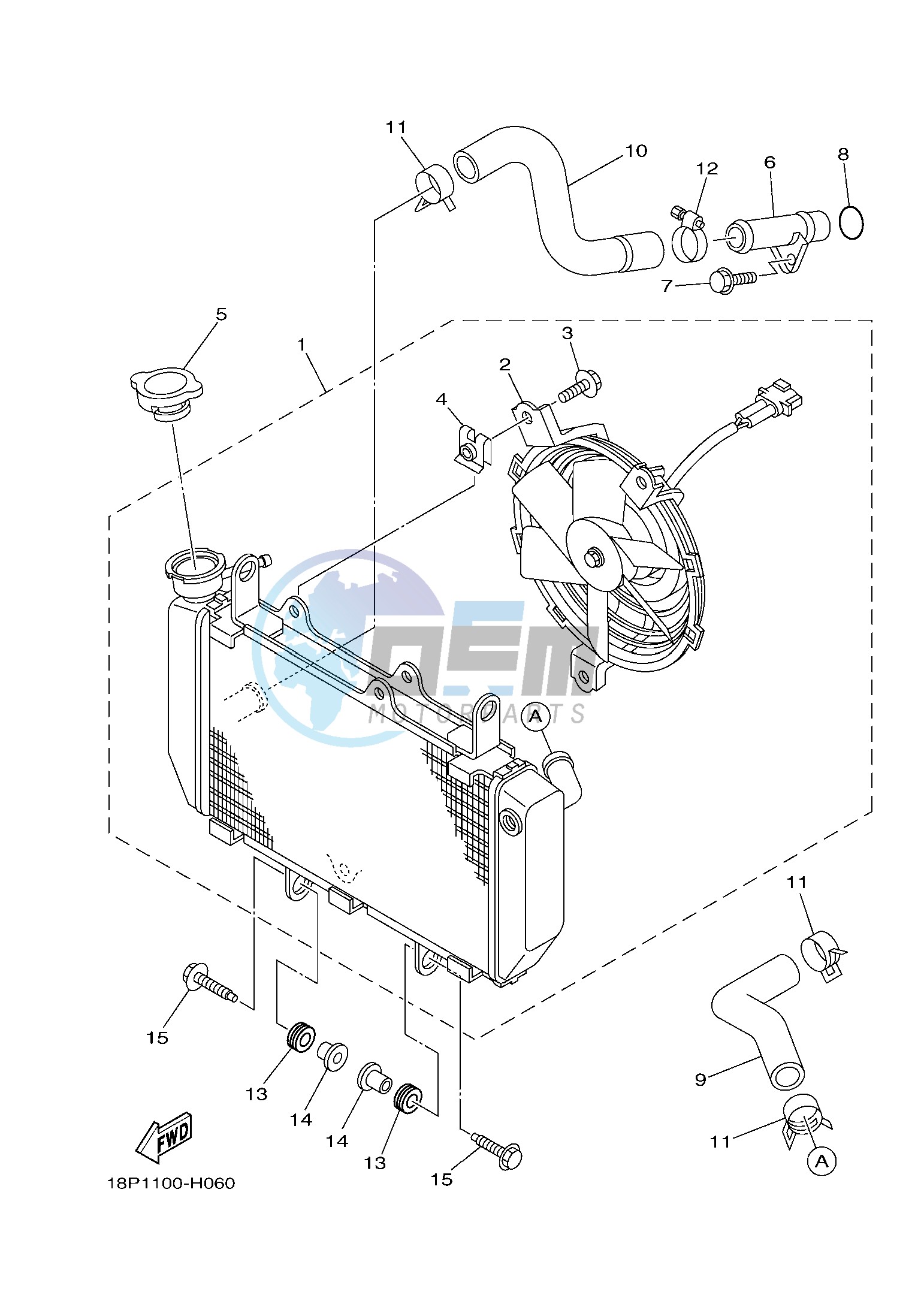 RADIATOR & HOSE