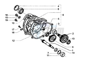 X9 EVOLUTION 250 drawing Gear group