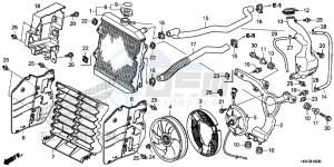 TRX500FM1E TRX500FM1 Europe Direct - (ED) drawing RADIATOR