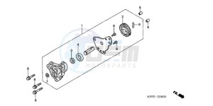 CBR125RW9 Europe Direct - (ED / WH) drawing OIL PUMP