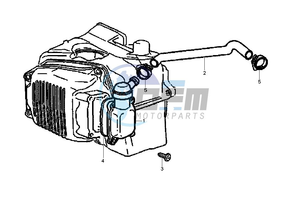 Oil drain valve