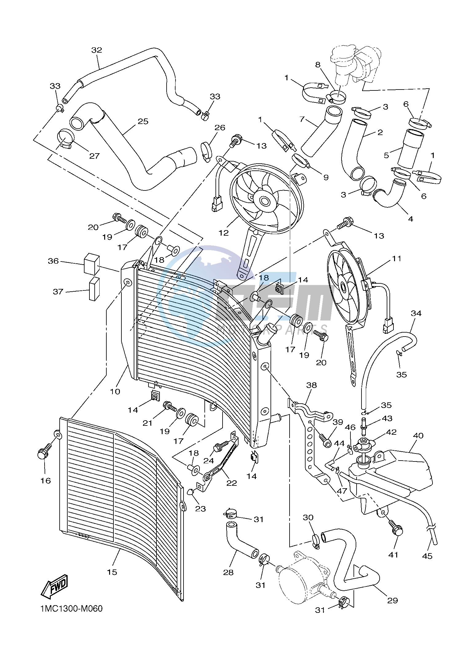 RADIATOR & HOSE