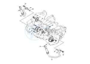 WR F 250 drawing OIL PUMP