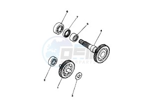 CT SS 50 drawing GEAR GROUP