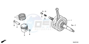 CRF100F9 Europe Direct - (ED / CMF) drawing CRANKSHAFT/PISTON (CRF100F)