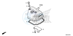 CRF150RBE CRF150RB Europe Direct - (ED) drawing CYLINDER HEAD COVER