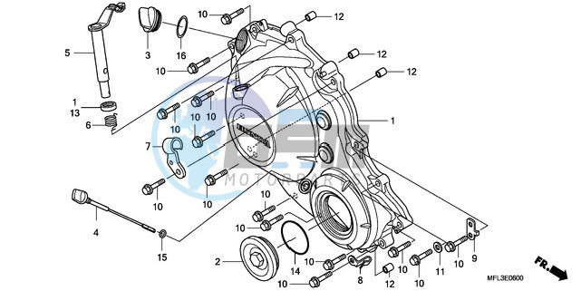 RIGHT CRANKCASE COVER